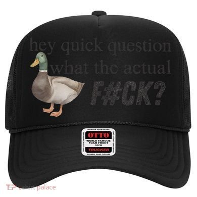 Hey Quick Question Wtaf Funny Duck Meme Retro Humor Joke Hat