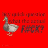 Hey Quick Question Wtaf Funny Duck Meme Retro Humor Joke Santa Hat thumb 1