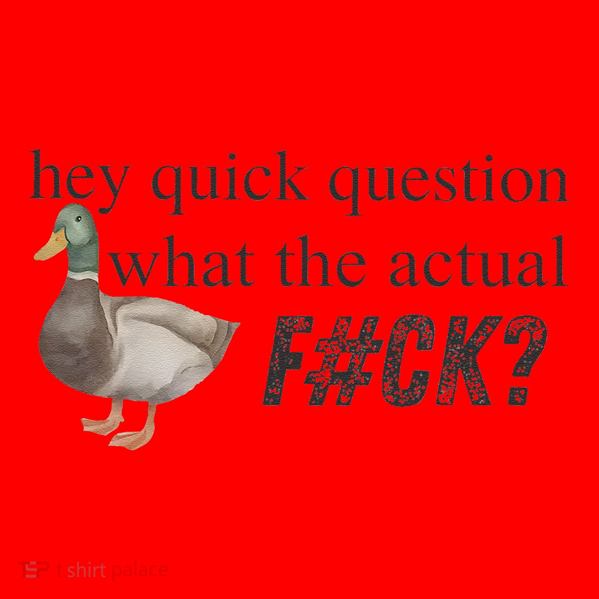 Hey Quick Question Wtaf Funny Duck Meme Retro Humor Joke Santa Hat