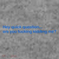 Hey Quick Question Are You Fcking Kidding Me Funny Toddler Hoodie thumb 2