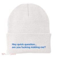 Hey Quick Question Are You Fcking Kidding Me Funny Beanie thumb 0