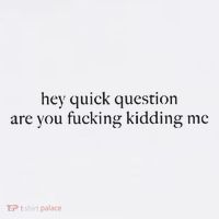 Hey Quick Question Are You Kidding Me Funny Humor T-Shirt thumb 7