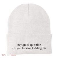 Hey Quick Question Are You Kidding Me Funny Humor Beanie thumb 0