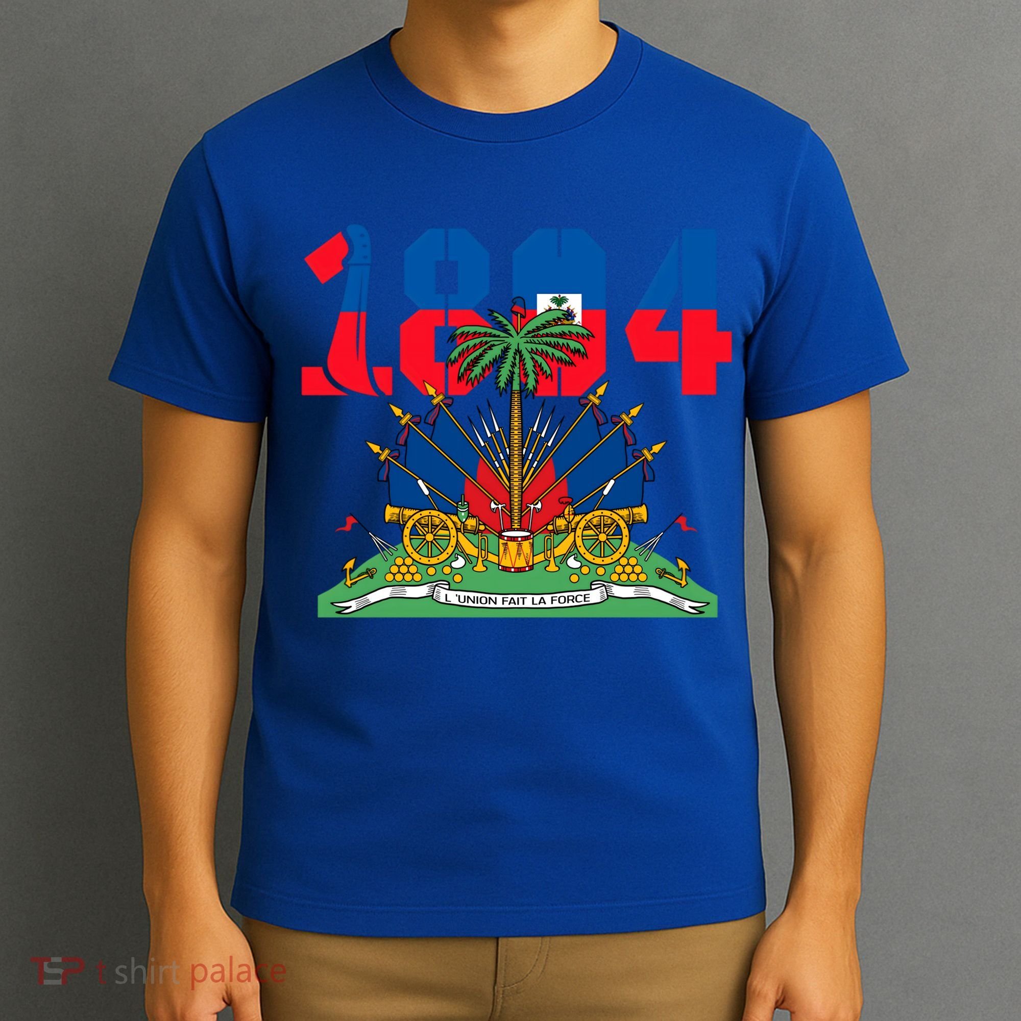 Haitian Revolution 1804 Flag Day Gift T-Shirt