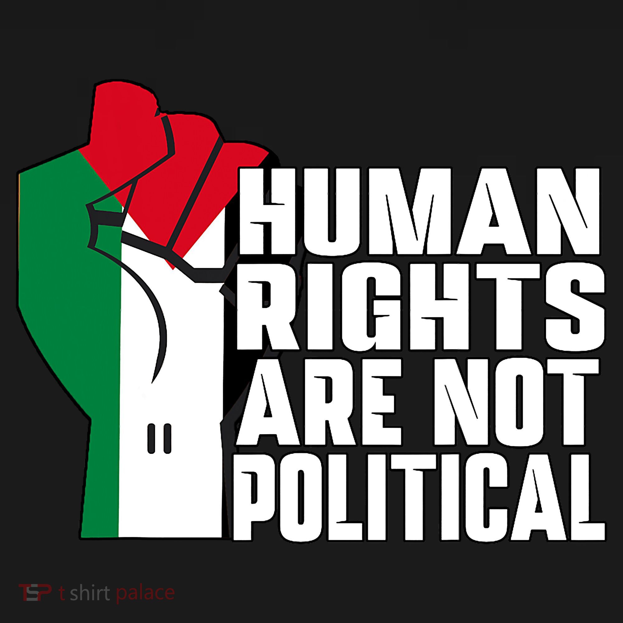 Human Rights Are Not Political Support Palestine And Gaza Women's Hoodie