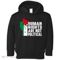 Human Rights Are Not Political Support Palestine And Gaza Toddler Hoodie thumb 0