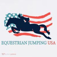 Horse Rider Equestrian Jumping Usa Team Coach American Flag Women's Hoodie thumb 2