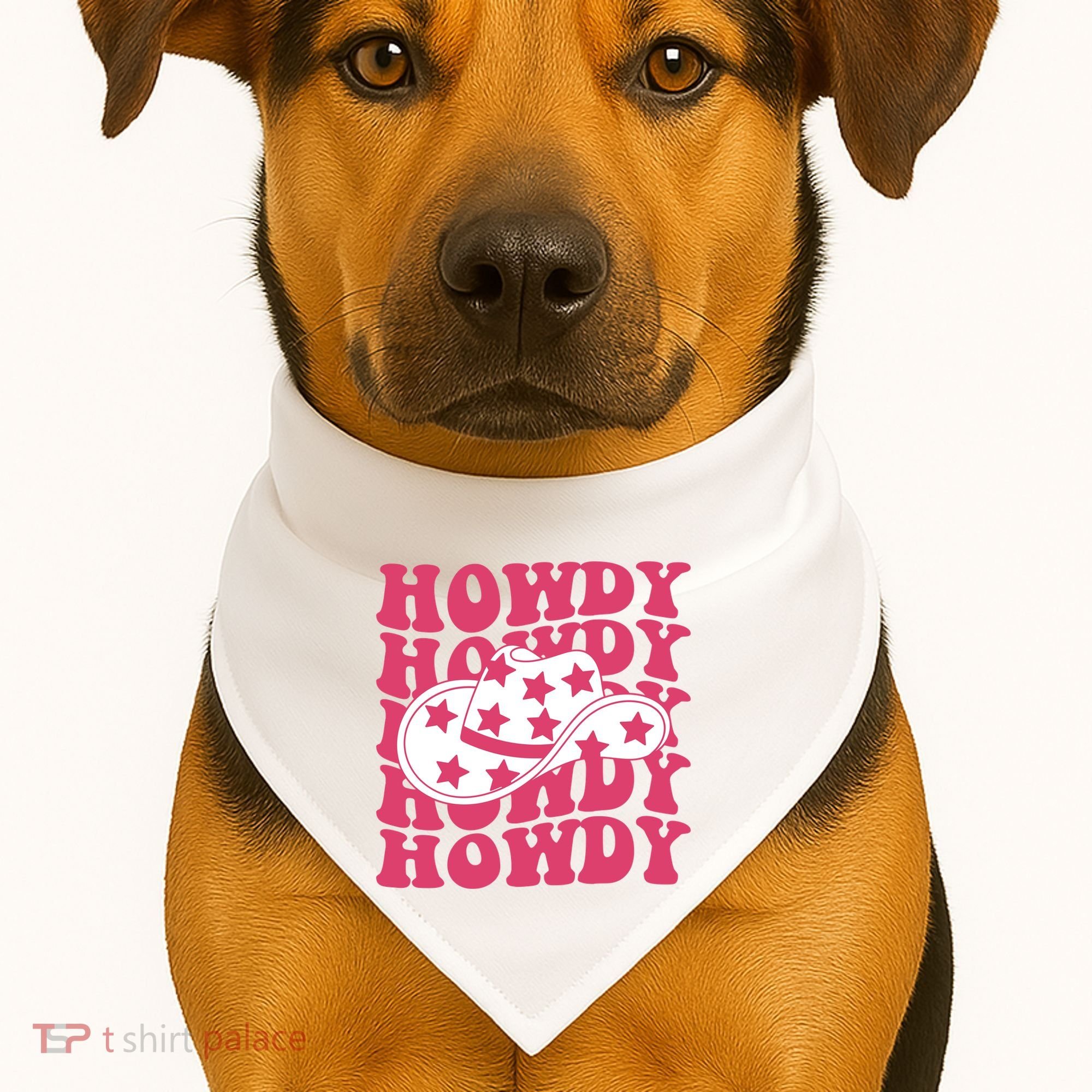 Howdy Retro Groovy USA-Made Doggie Bandana