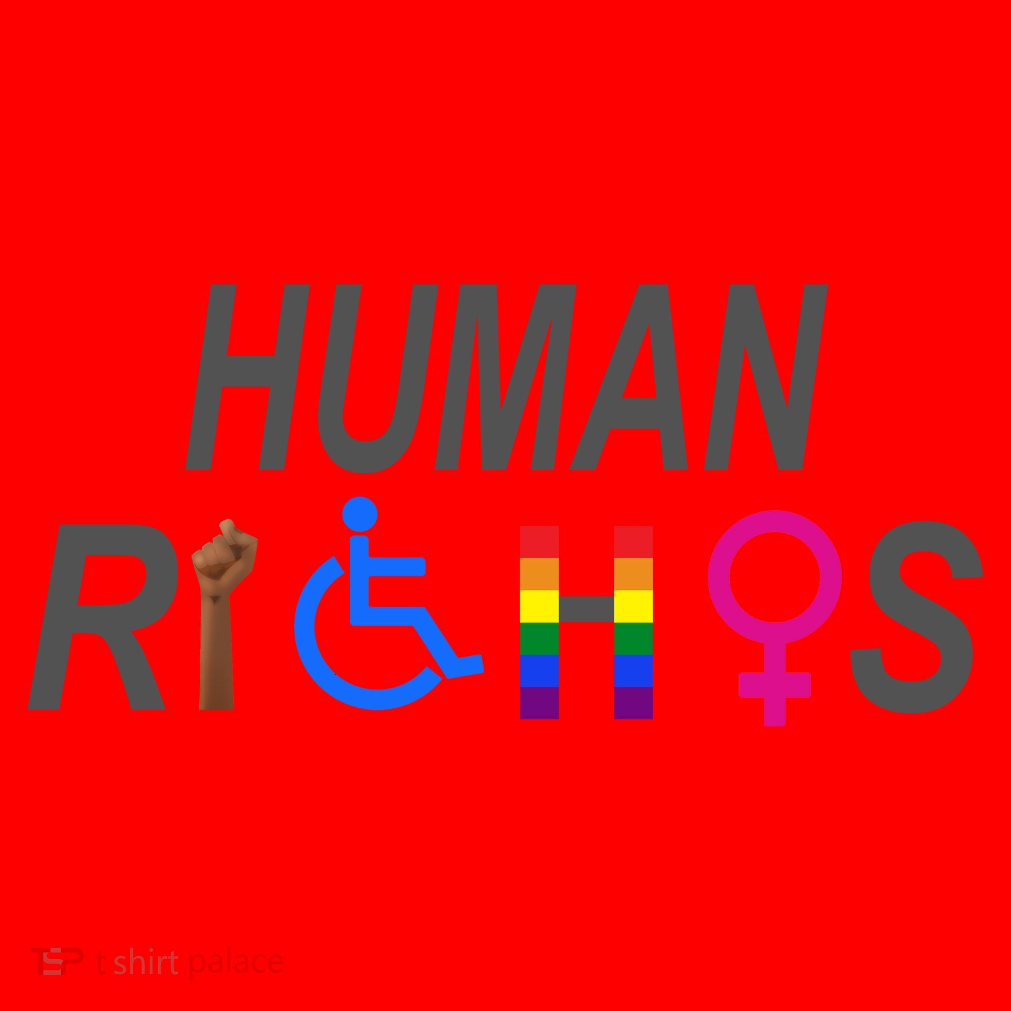 Human Rights Santa Hat