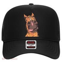 Horse Riding Hat thumb 0
