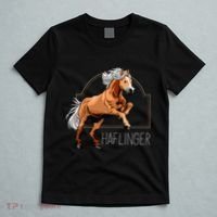 Haflinger Rider Horse Pony Riding T-Shirt thumb 5