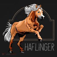Haflinger Rider Horse Pony Riding Women's Hoodie thumb 2