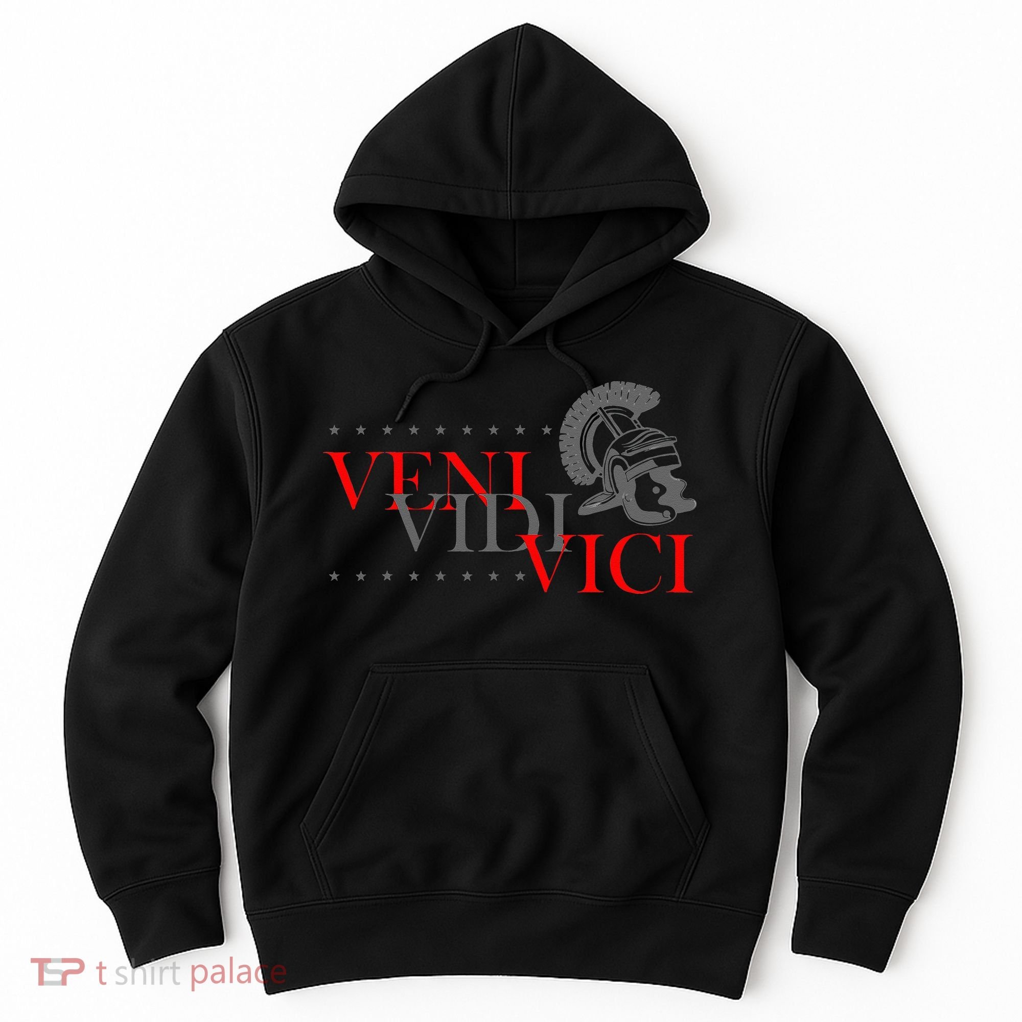 History Students And History Lover For Veni Vidi Vici Hoodie