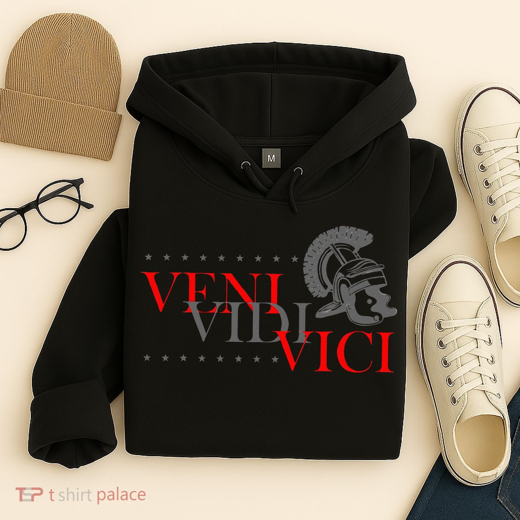 History Students And History Lover For Veni Vidi Vici Hoodie