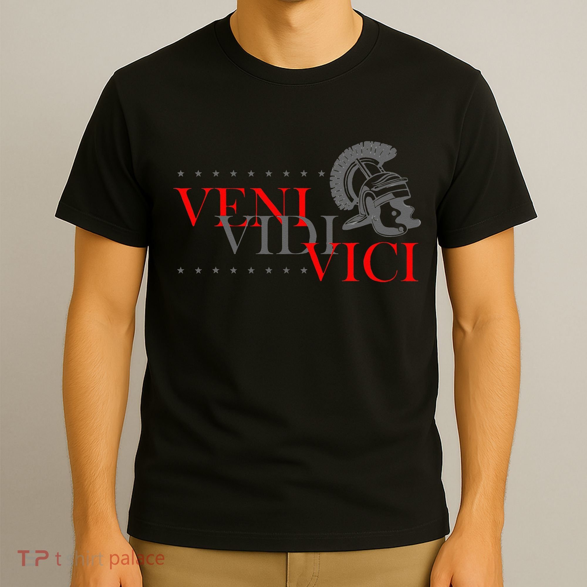 History Students And History Lover For Veni Vidi Vici T-Shirt