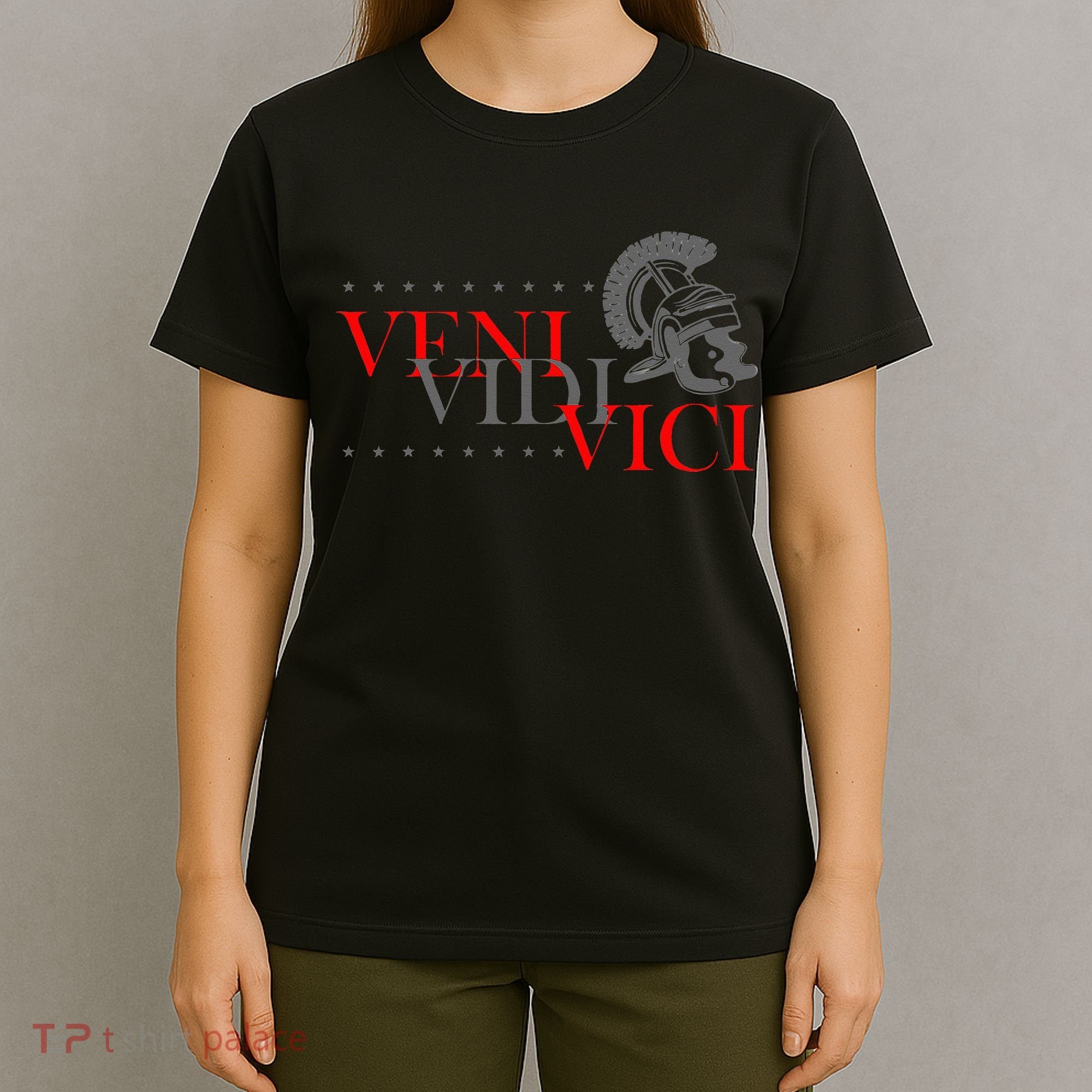 History Students And History Lover For Veni Vidi Vici T-Shirt