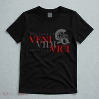 History Students And History Lover For Veni Vidi Vici T-Shirt thumb 5