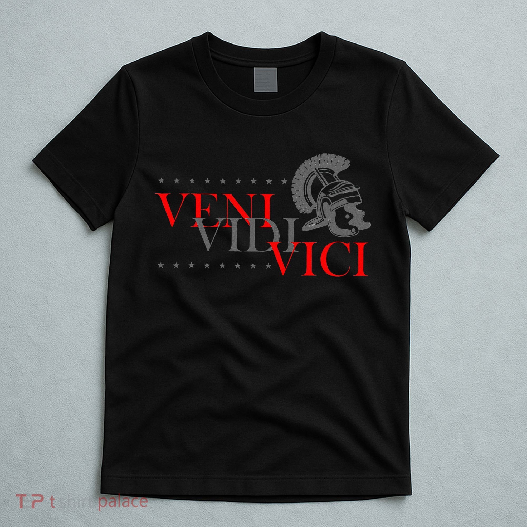 History Students And History Lover For Veni Vidi Vici T-Shirt