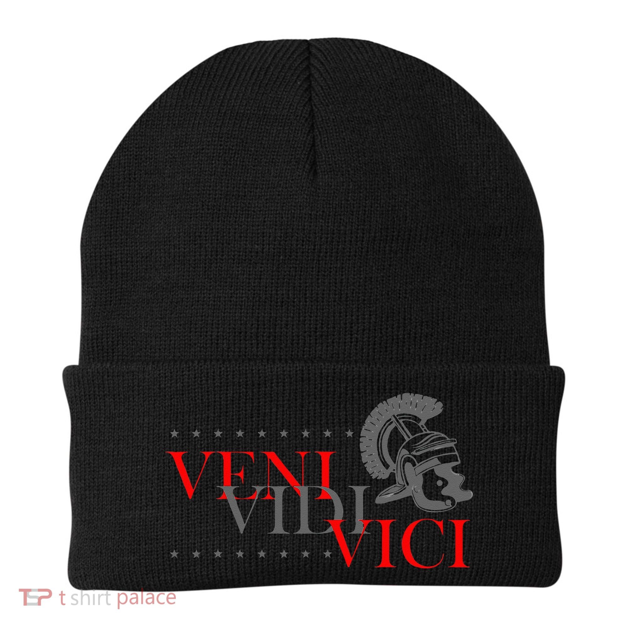 History Students And History Lover For Veni Vidi Vici Beanie