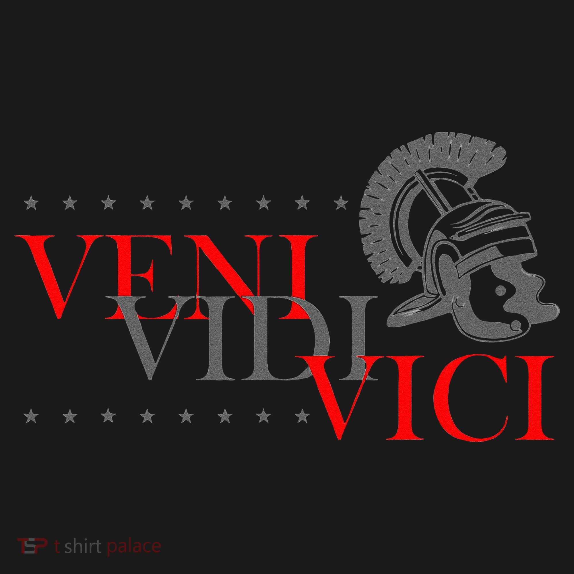 History Students And History Lover For Veni Vidi Vici Women's Hoodie