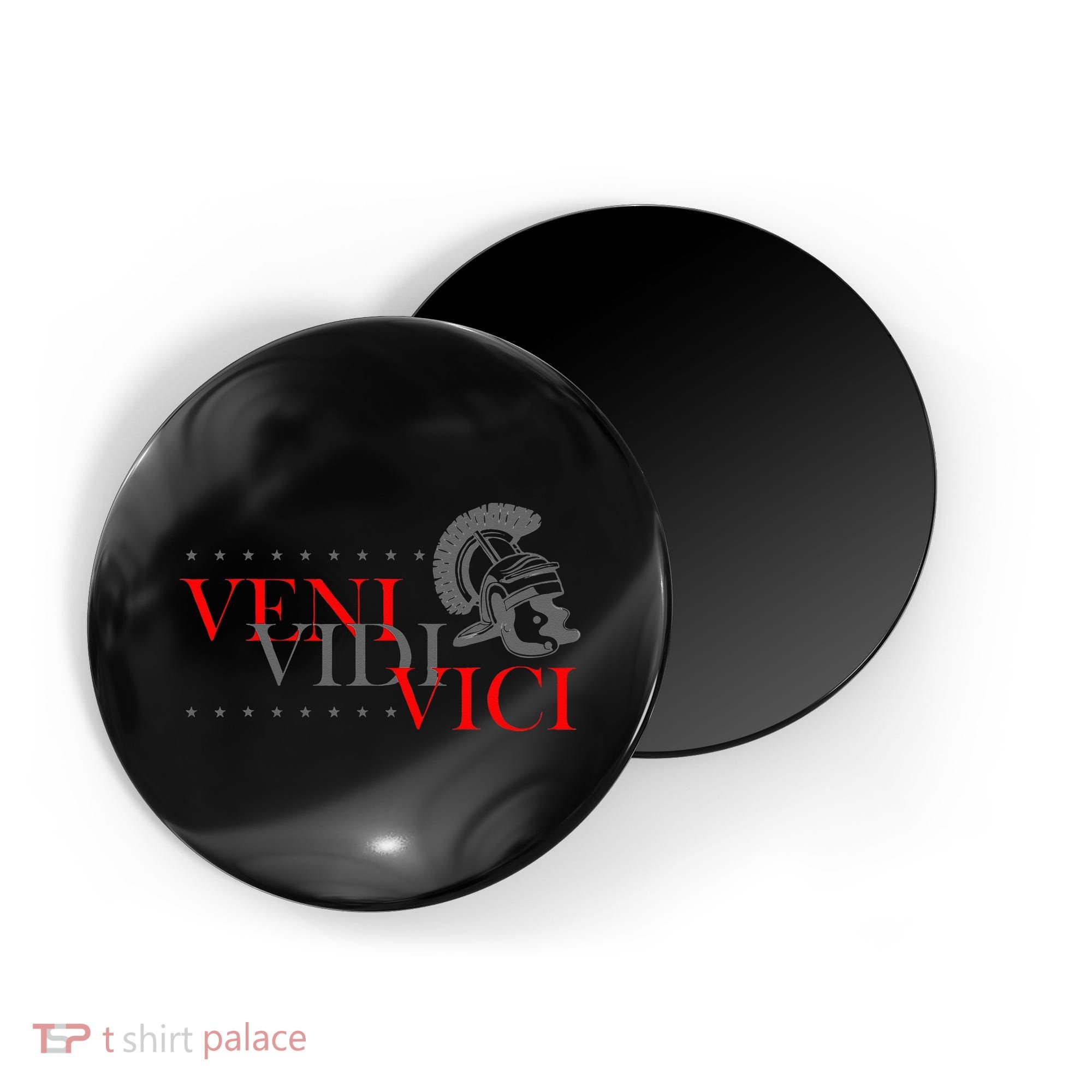History Students And History Lover For Veni Vidi Vici Magnet