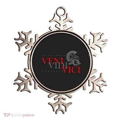 History Students And History Lover For Veni Vidi Vici Ornament
