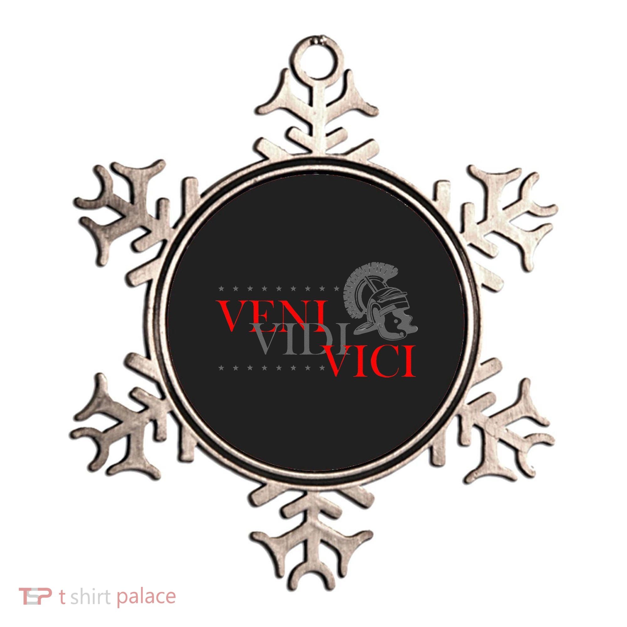 History Students And History Lover For Veni Vidi Vici Ornament