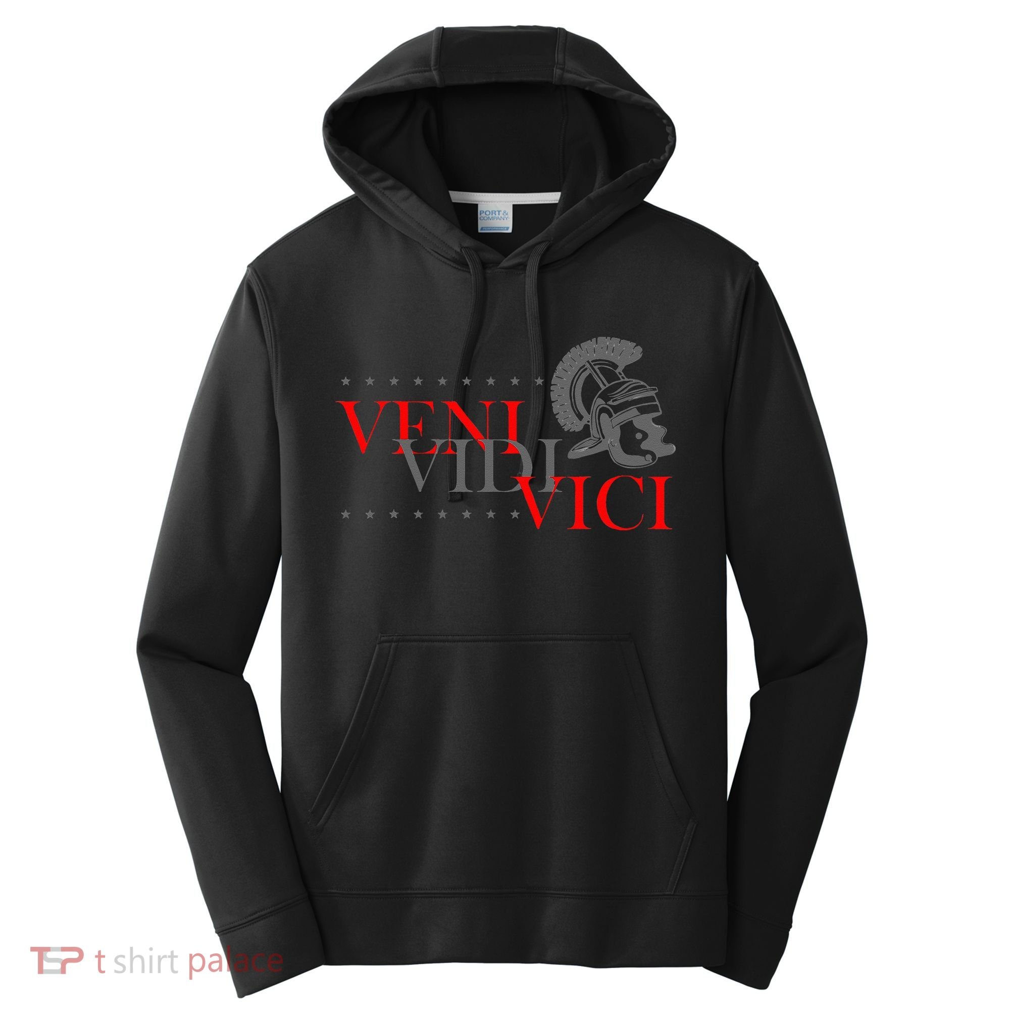 History Students And History Lover For Veni Vidi Vici Performance Fleece Hoodie