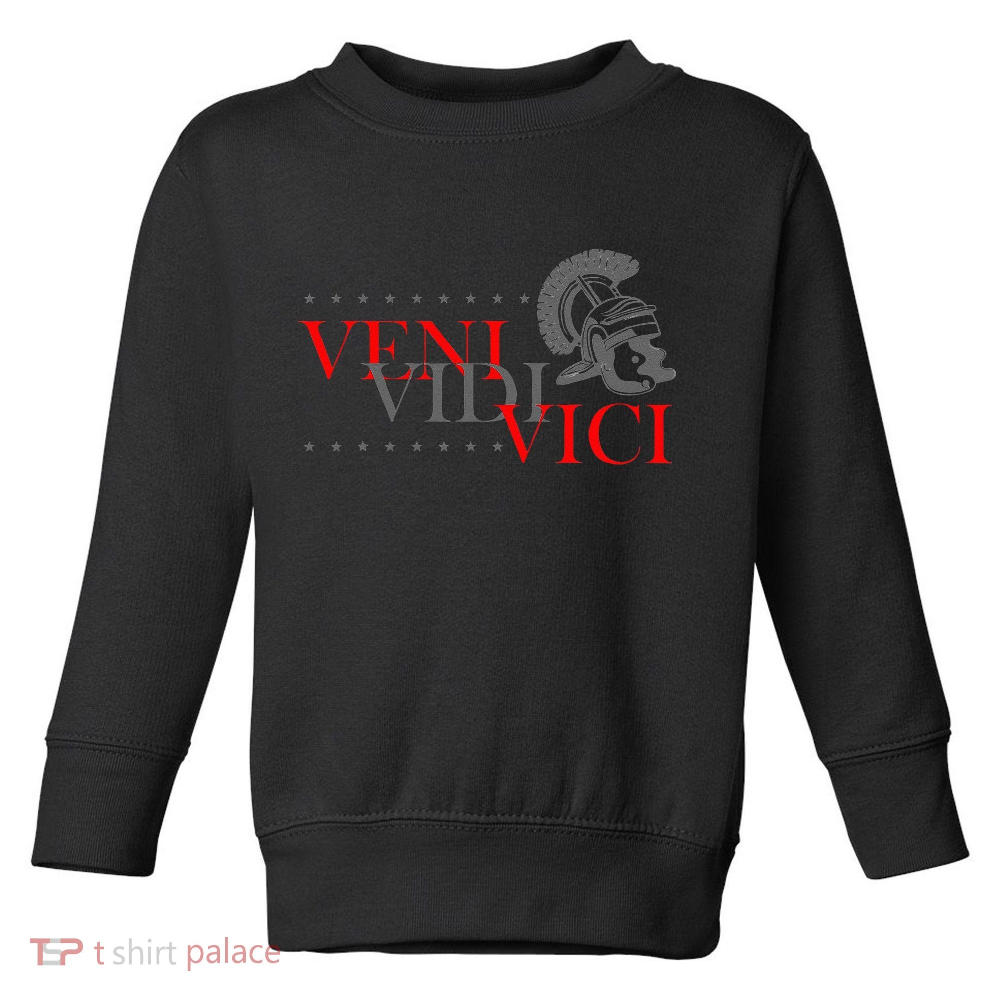 History Students And History Lover For Veni Vidi Vici Toddler Sweatshirt