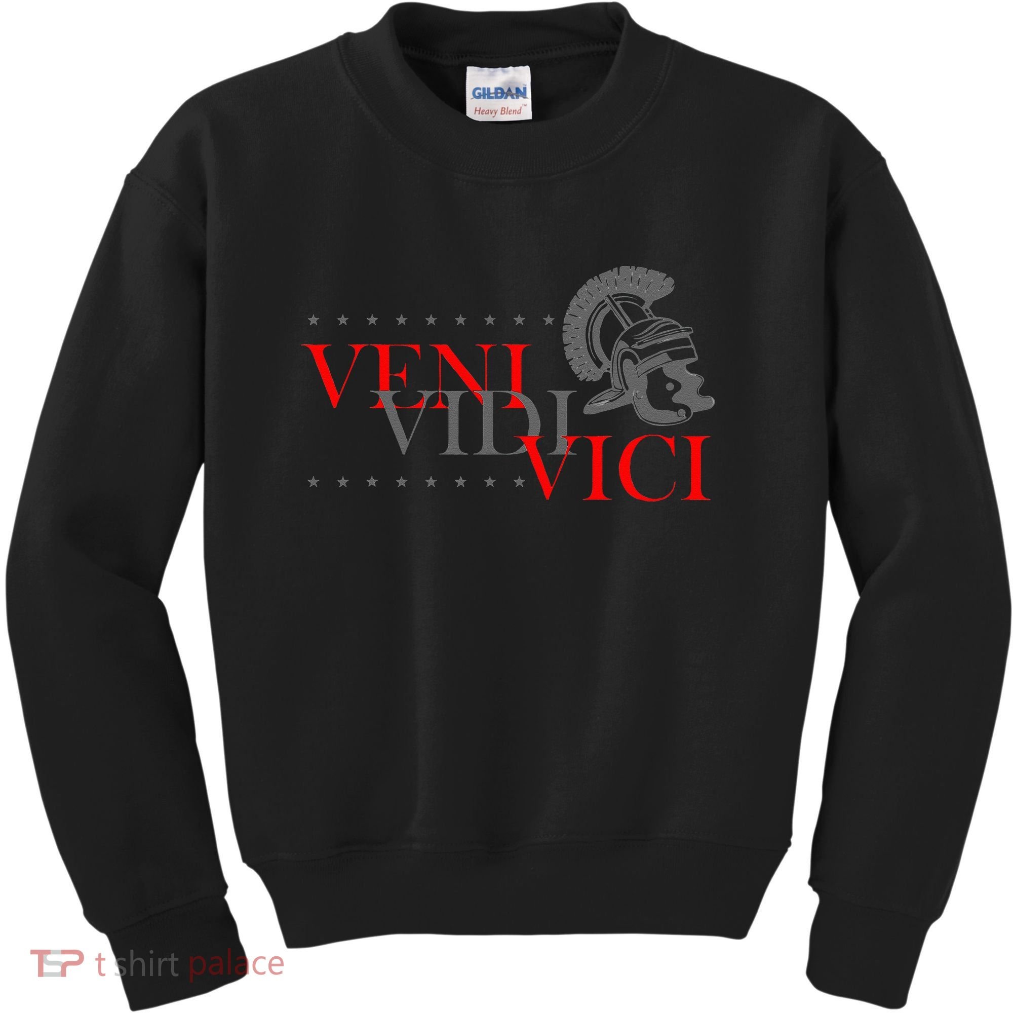 History Students And History Lover For Veni Vidi Vici Kids Sweatshirt