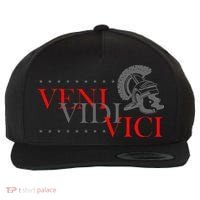 History Students And History Lover For Veni Vidi Vici Wool Snapback Cap thumb 0