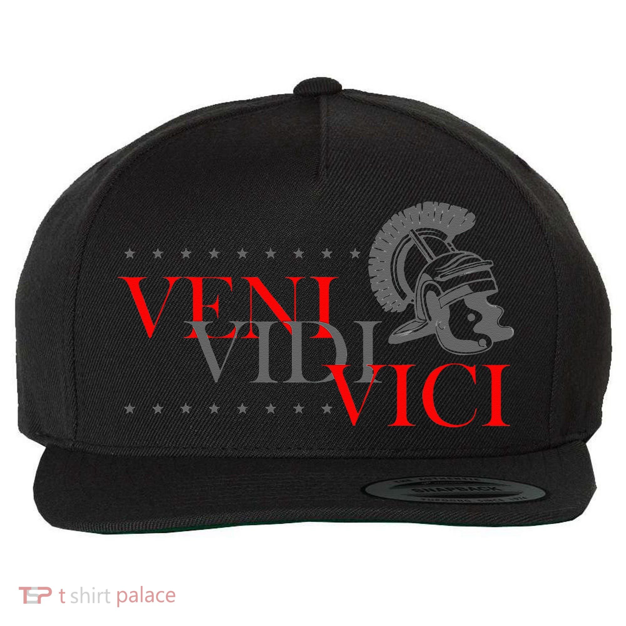 History Students And History Lover For Veni Vidi Vici Wool Snapback Cap
