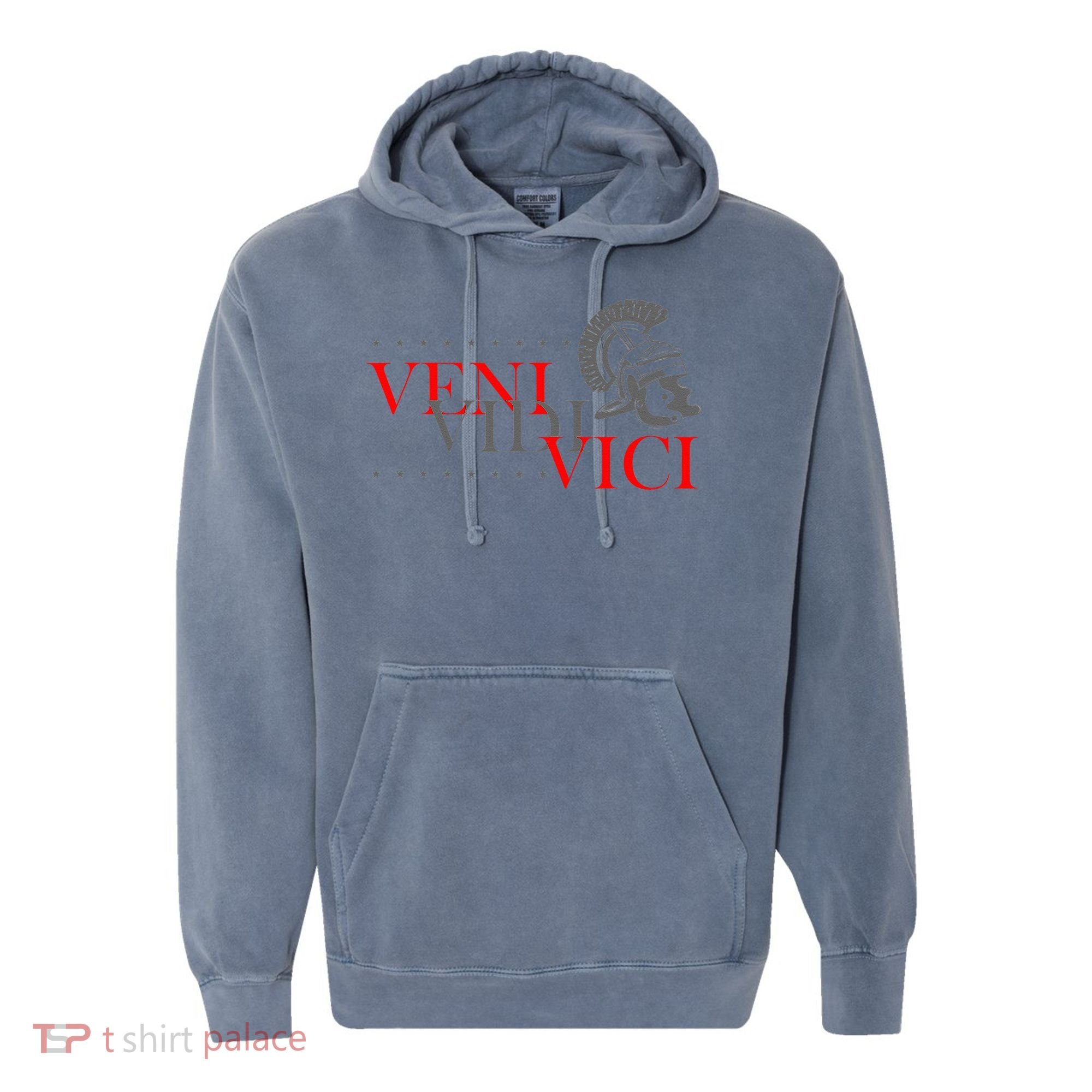 History Students And History Lover For Veni Vidi Vici Comfort Colors Garment-Dyed Hooded Sweatshirt