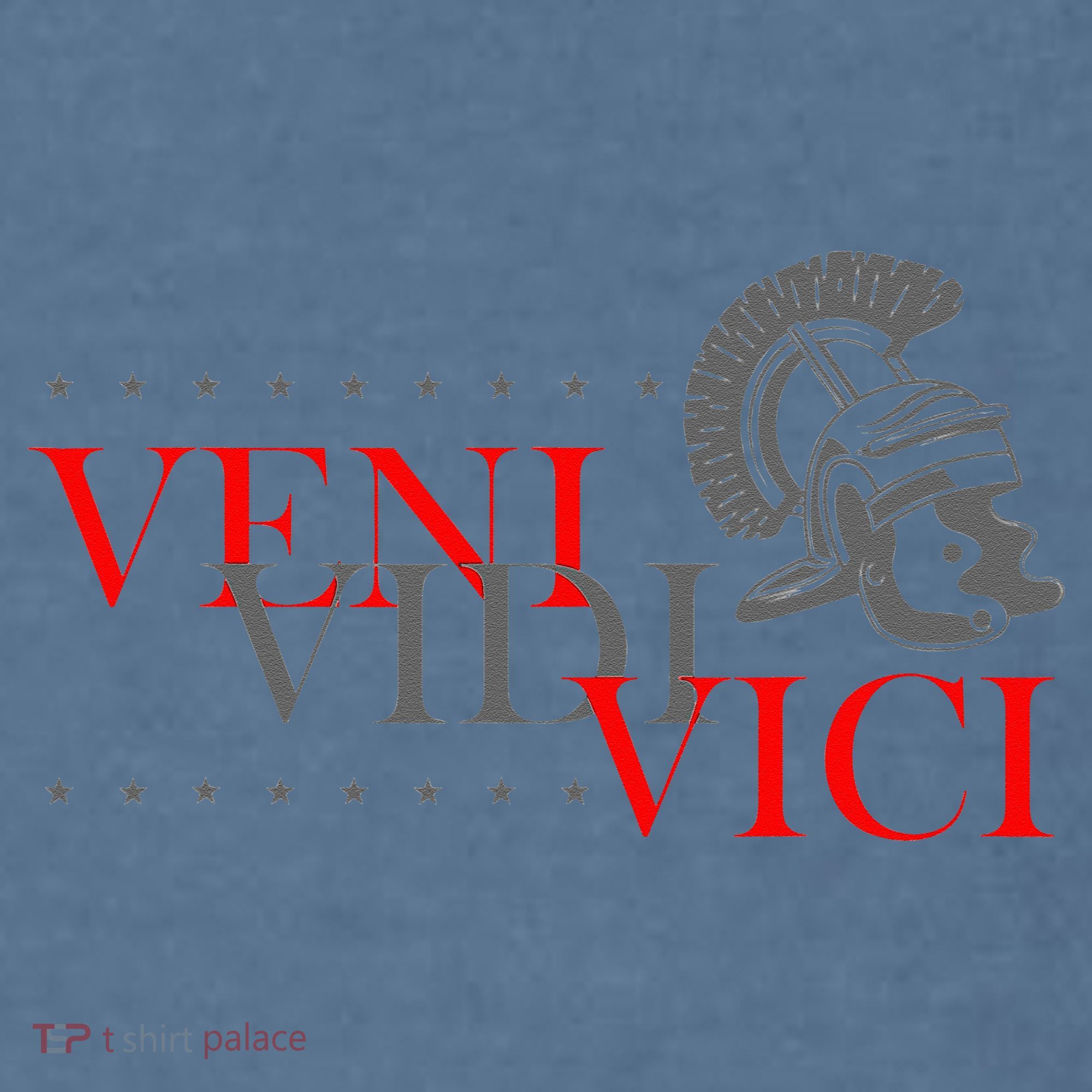 History Students And History Lover For Veni Vidi Vici Comfort Colors Garment-Dyed Hooded Sweatshirt