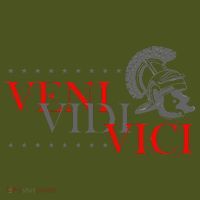 History Students And History Lover For Veni Vidi Vici The Baniff Cuffed Pom Beanie thumb 2