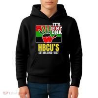 HBCU Souvenir Authentic Red Black and Green HBCU Campus Kids Hoodie thumb 4