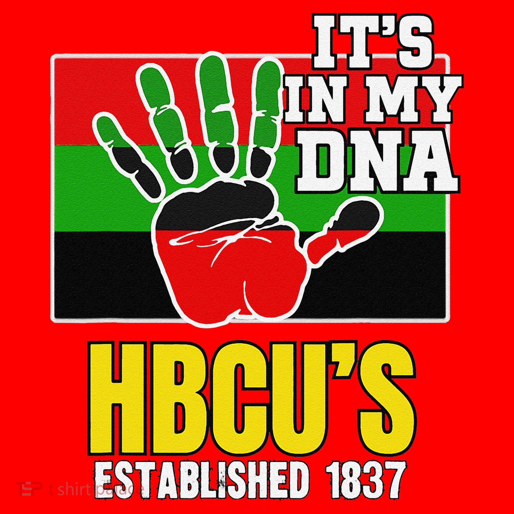 HBCU Souvenir Authentic Red Black and Green HBCU Campus Santa Hat