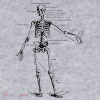 Human Skeleton Anatomy Drawing Diagram Women's Sweatshirt thumb 2