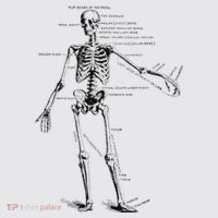 Human Skeleton Anatomy Drawing Diagram Womens Funnel Neck Pullover Hood thumb 2
