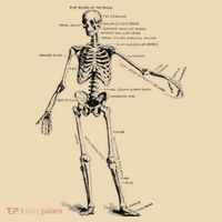 Human Skeleton Anatomy Drawing Diagram Tote Bag thumb 4