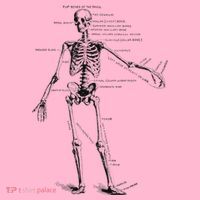 Human Skeleton Anatomy Drawing Diagram Baby Long Sleeve Bodysuit thumb 2
