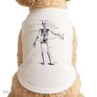 Human Skeleton Anatomy Drawing Diagram Doggie Tank thumb 0