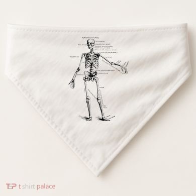 Human Skeleton Anatomy Drawing Diagram USA-Made Doggie Bandana