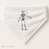Human Skeleton Anatomy Drawing Diagram USA-Made Doggie Bandana thumb 0