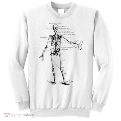 Human Skeleton Anatomy Drawing Diagram Sweatshirt