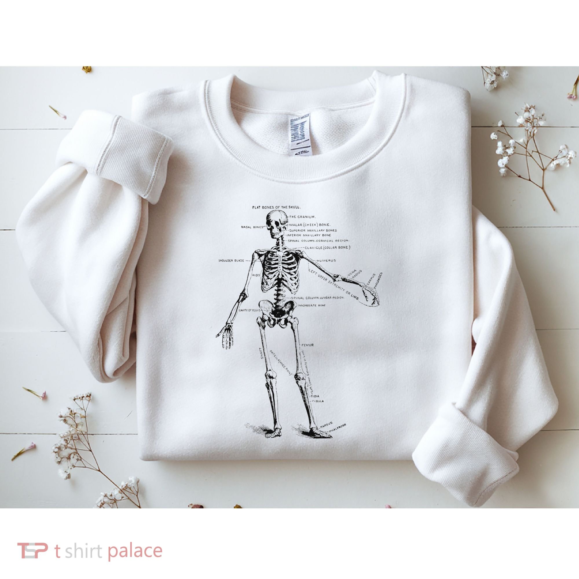 Human Skeleton Anatomy Drawing Diagram Sweatshirt