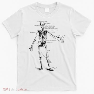 Human Skeleton Anatomy Drawing Diagram T-Shirt