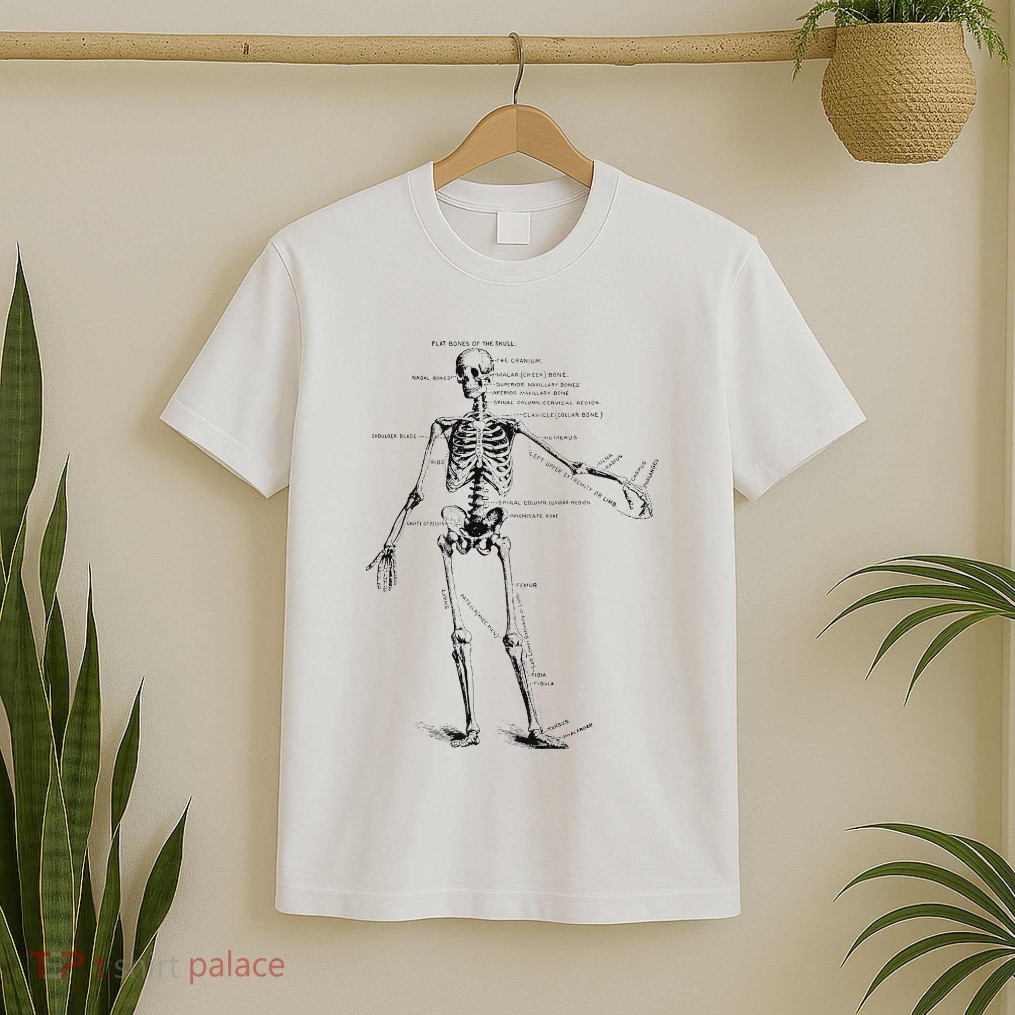 Human Skeleton Anatomy Drawing Diagram T-Shirt