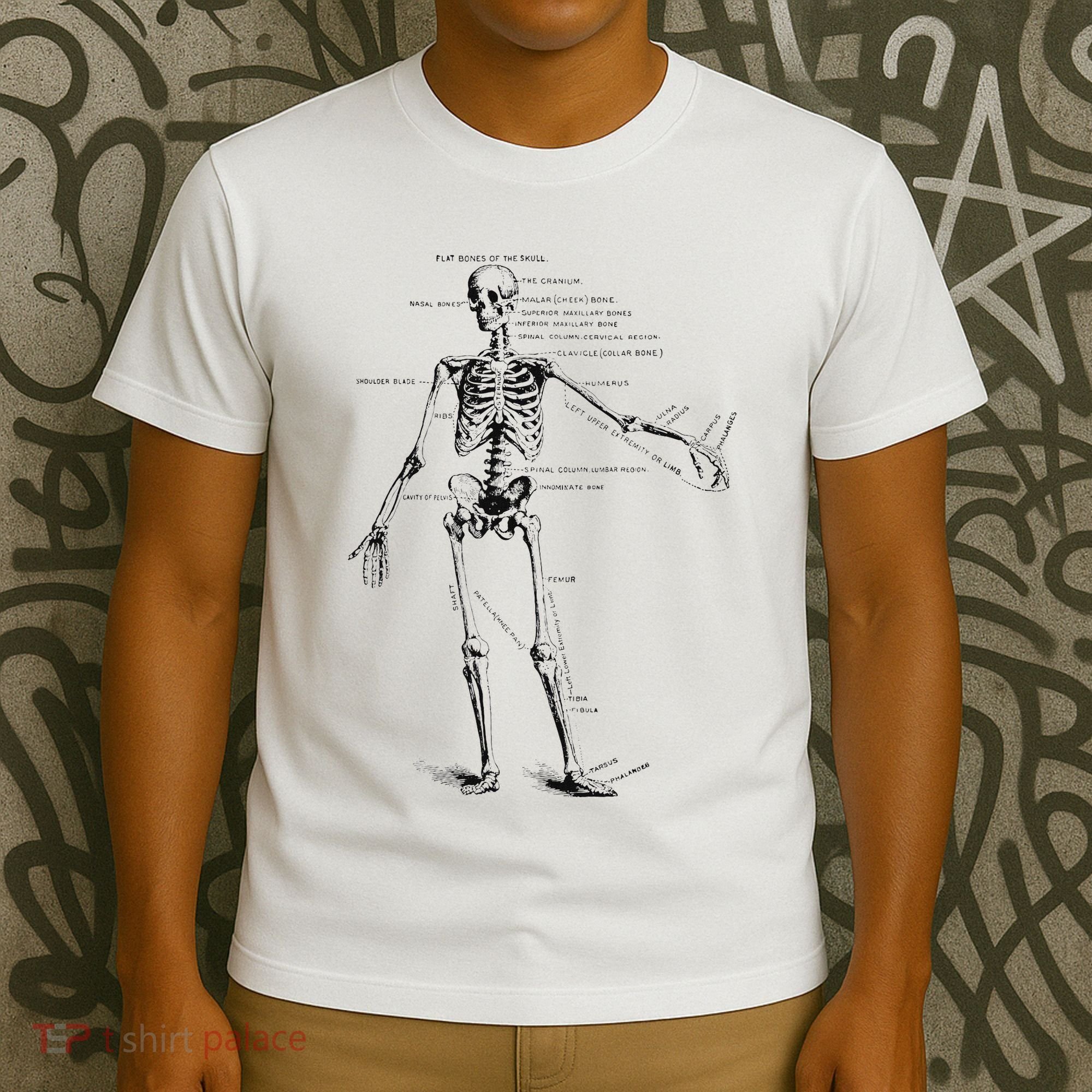 Human Skeleton Anatomy Drawing Diagram T-Shirt