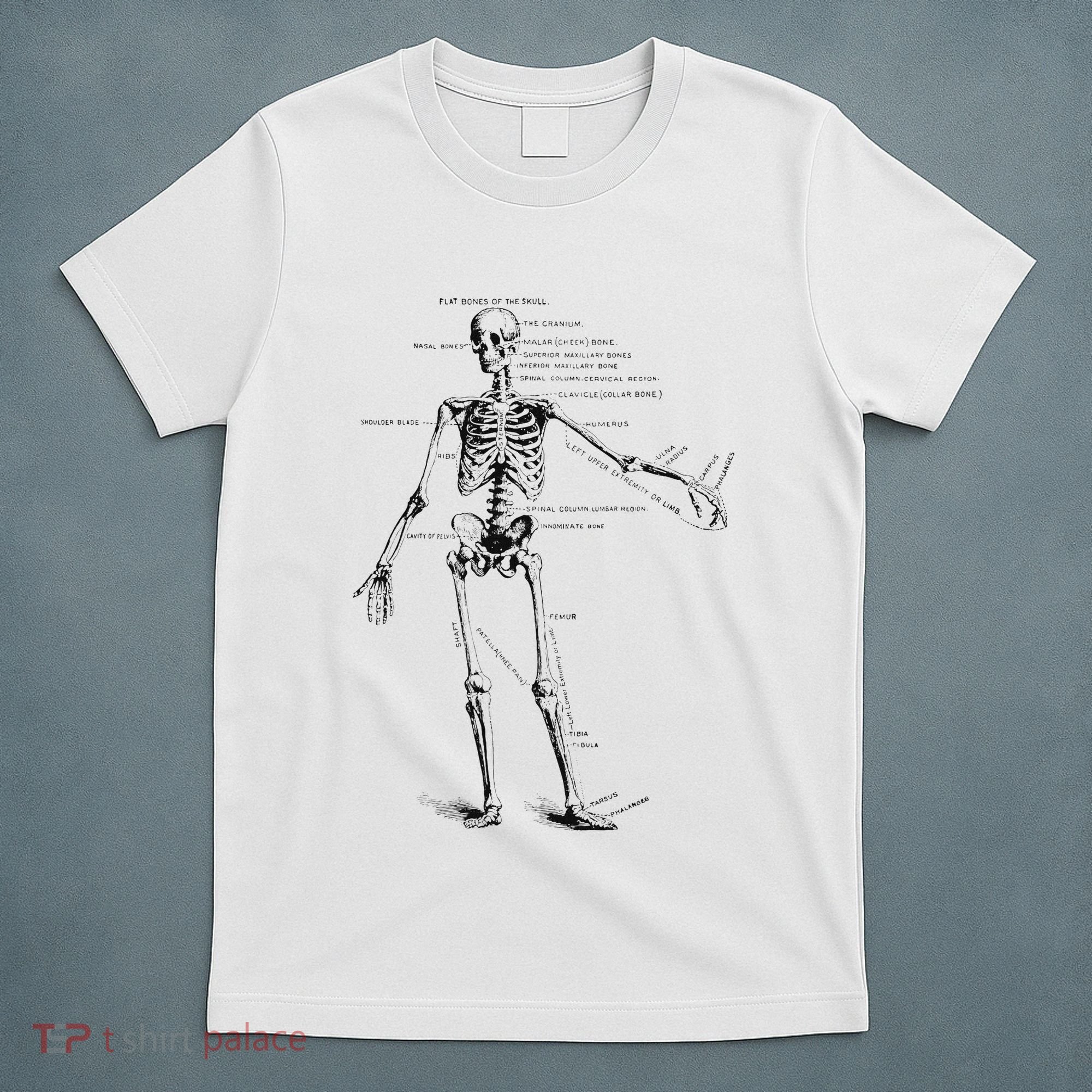 Human Skeleton Anatomy Drawing Diagram T-Shirt